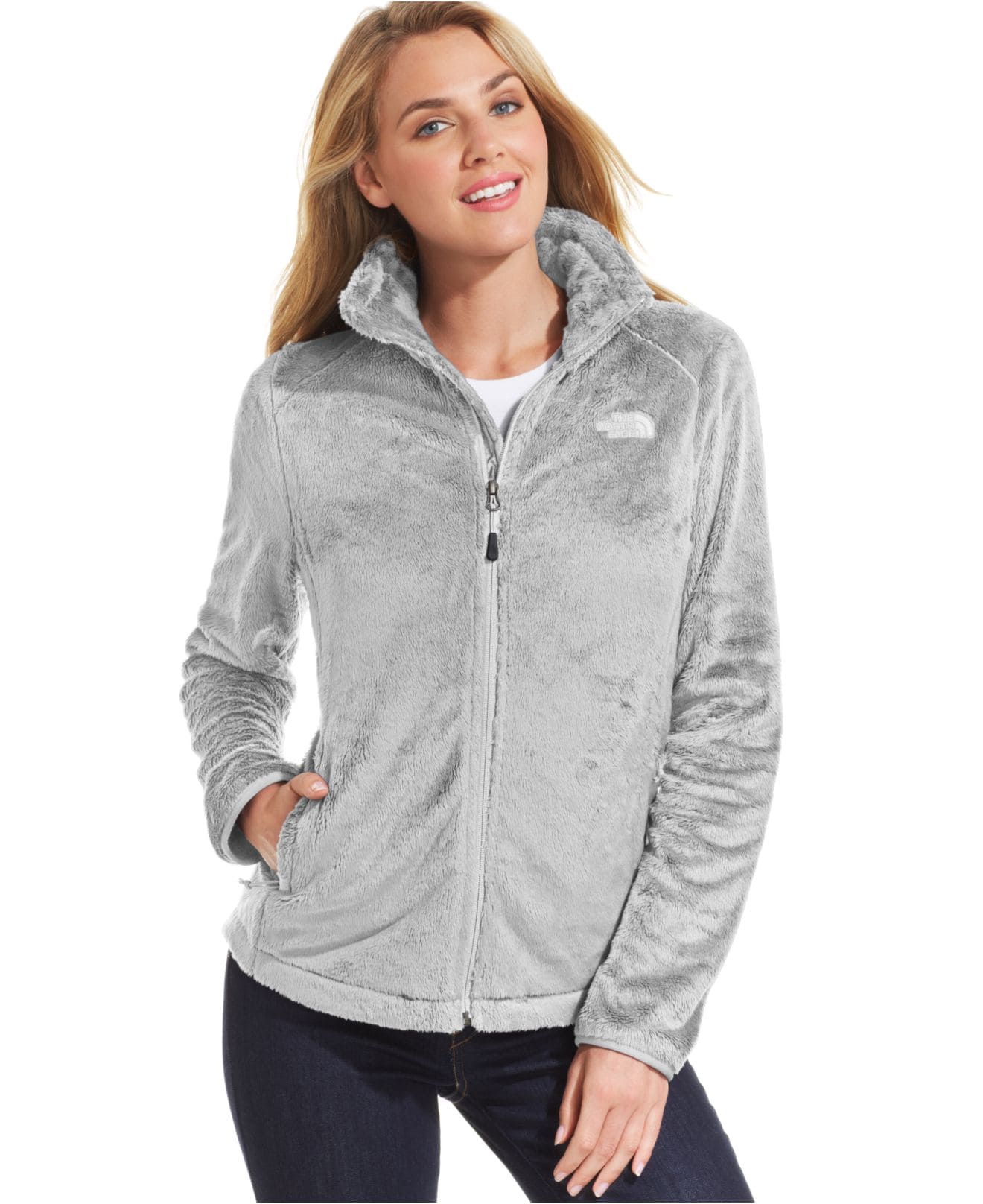 POLAR GRIS THE NORTH FACE