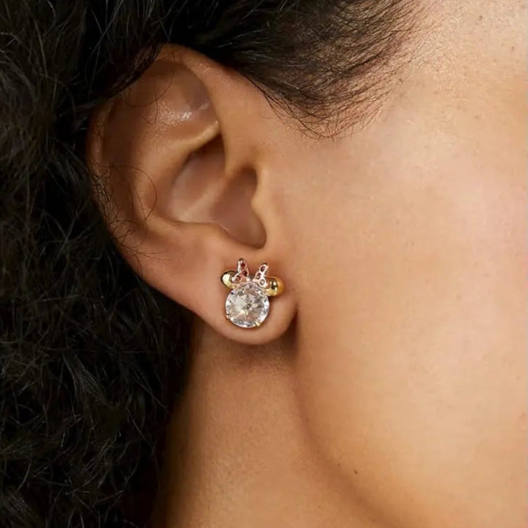 AROS KATE SPADE X DISNEY