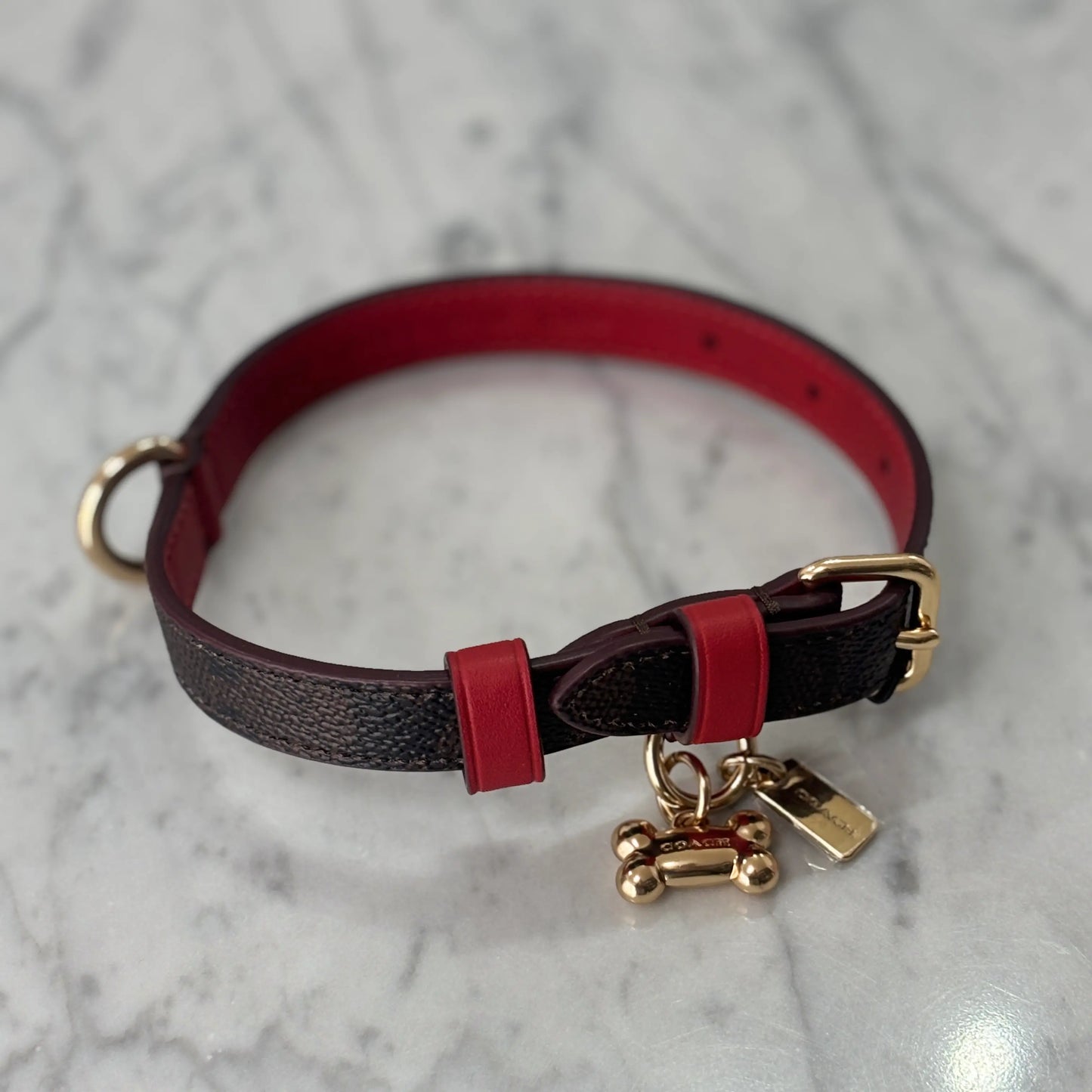 COLLAR COACH MASCOTAS SMALL