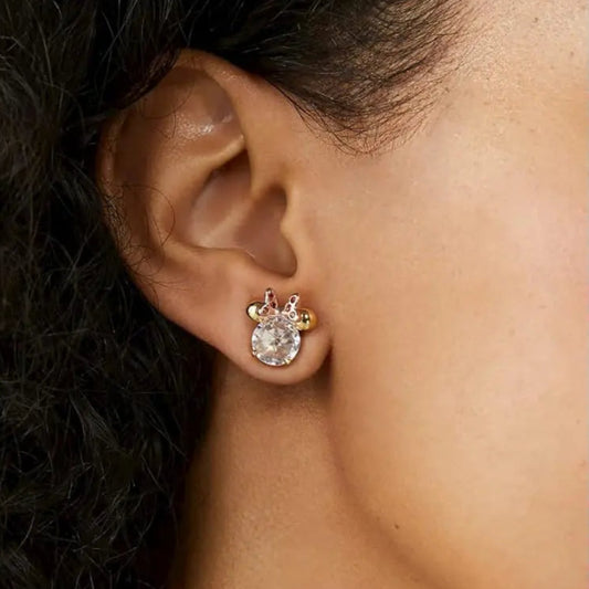 AROS KATE SPADE X DISNEY