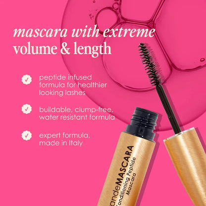 SET LASH BASH